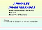 Invertebrados | Recurso educativo 33490