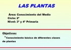 Las plantas | Recurso educativo 33602