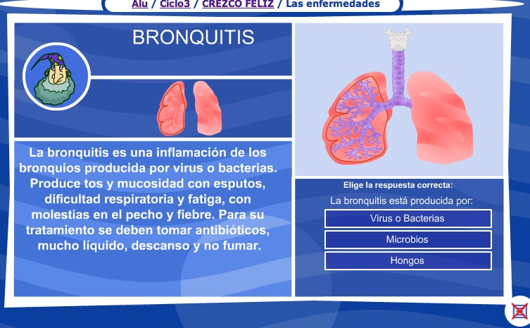 La bronquitis | Recurso educativo 36002