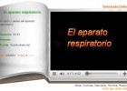 El aparato respiratorio | Recurso educativo 36233