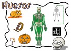 Esqueleto | Recurso educativo 39494