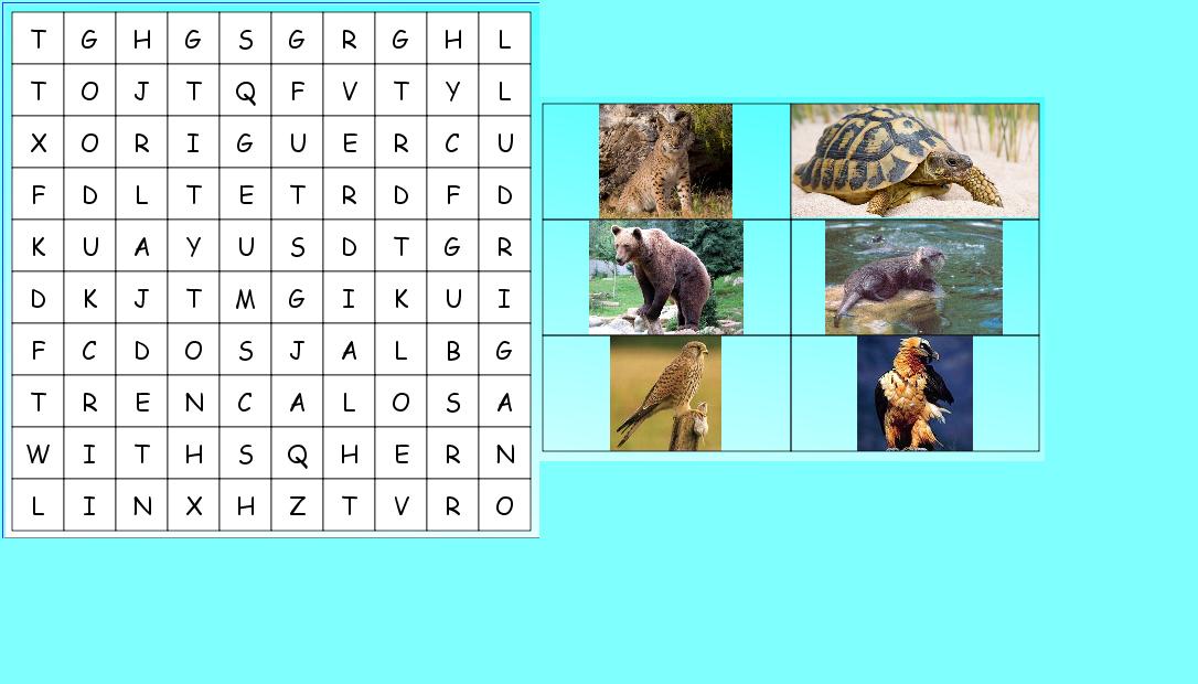 Imagen: sopa de letras con animales | Recurso educativo 40830