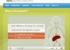 Video: What is cholesterol? | Recurso educativo 41283
