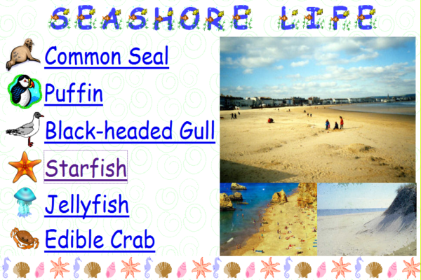 Seashore life | Recurso educativo 42351