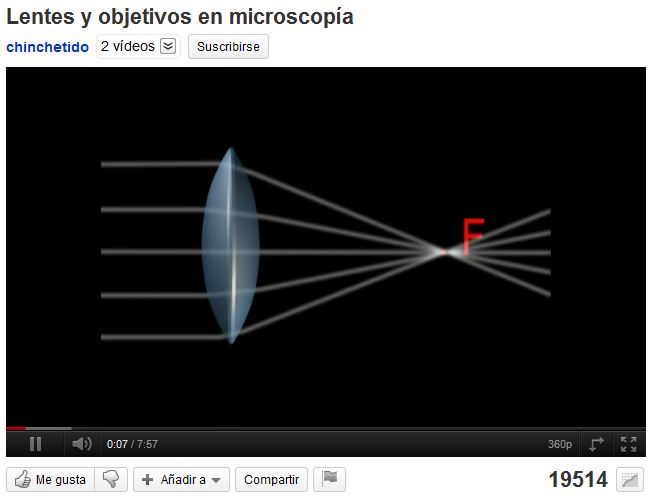 Lentes y objetivos en microscopía | Recurso educativo 46308