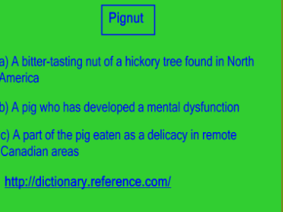 Dictionary meanings | Recurso educativo 46716