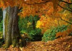 Beautiful Nature - The four seasons | Recurso educativo 48104