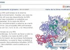 ARN polimerasa | Recurso educativo 49127