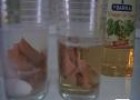 Experimento: Buscando ácidos en la cocina | Recurso educativo 10483