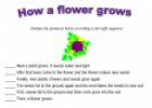 How a flower grows | Recurso educativo 13057