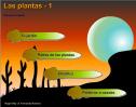 Las plantas-1 | Recurso educativo 13120