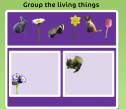 Living things | Recurso educativo 63310