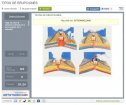 Tipos de erupciones. | Recurso educativo 64656