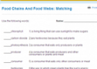 Food chains and food webs: Matching | Recurso educativo 69933