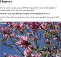 Express English: Flowers | Recurso educativo 73051