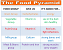 The food pyramid | Recurso educativo 75108