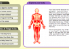 Explore your body | Recurso educativo 75537