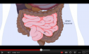 Video: Digestion system | Recurso educativo 77162