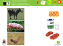 Somos investigadores: Alimentos de origen animal | Recurso educativo 79040