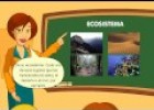 Los ecosistemas | Recurso educativo 84001