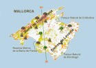 El bosque mediterraneo en las islas baleares | Recurso educativo 93081