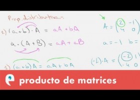 Producto de matrices por un número | Recurso educativo 109446