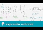 Expresión matricial de un sistema (ejercicio) | Recurso educativo 109485