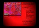 Human Blood Composition | Recurso educativo 113818