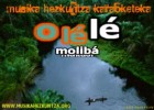 Uelele moliba makasi - Musika hezkuntza karaoketeka | Recurso educativo 331676