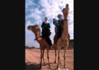 Els tuaregs | Recurso educativo 683102