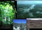 Diferentes ejemplos de ecosistemas | Recurso educativo 734206