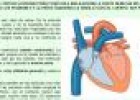 El ciclo cardíaco | Recurso educativo 735879