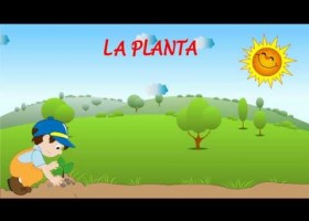 Partes de la planta | Recurso educativo 736991