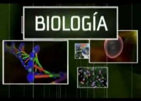 biología origen de la vida | Recurso educativo 737681