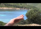 L'anellament d'aus a les illes Balears (Piccole Isole) | Recurso educativo 740927
