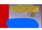 Principio de Huygens | Recurso educativo 743666