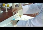 Técnicas básicas de laboratorio: preparación de disoluciones | Recurso educativo 744508