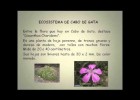 Ecosistemas de Andalucía | Recurso educativo 748640