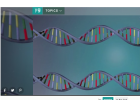 La replicación del ADN | Recurso educativo 752379