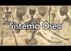 El sistema ossi | Recurso educativo 762693