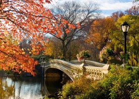 Puente en Central Park, Nueva York | Recurso educativo 767190