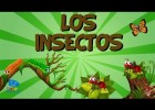 LOS INSECTOS | Vídeos Educativos para Niños | Recurso educativo 768081
