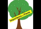 The importance of plants | Recurso educativo 773769