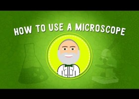 How to Use a Microscope | STEM | Recurso educativo 774247