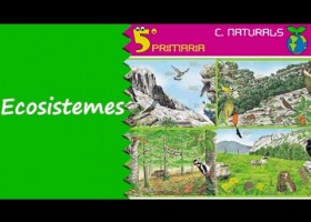 Els ecosistemes | Recurso educativo 776783