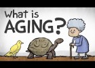 What is Ageing? | Recurso educativo 780872
