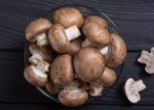 How to grow mushrooms | Recurso educativo 786013