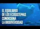 A biodiversidade e o equilibrio dos ecosistemas | Recurso educativo 789889