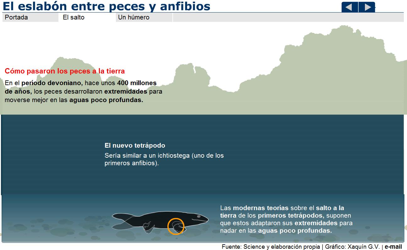 El eslabón entre peces y anfibios | Recurso educativo 41218