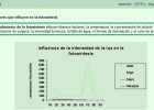 Factores de la fotosíntesis | Recurso educativo 47665